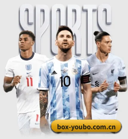 五大服务分区,信息按项目分类